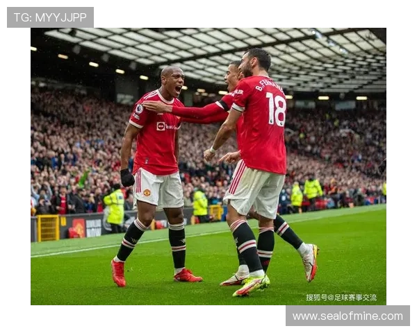 B费本赛季进球数据持续提升，进攻端表现稳健