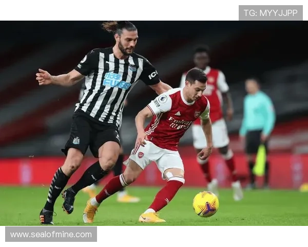 荷甲技术流足球风格持续提升，战术体系与青训成果备受关注