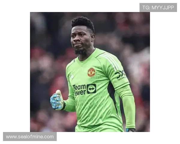 B费本赛季球队贡献持续提升，进攻组织表现稳健