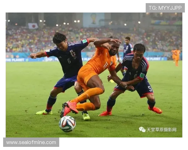 巴西媒体对 Vini 的高度期待