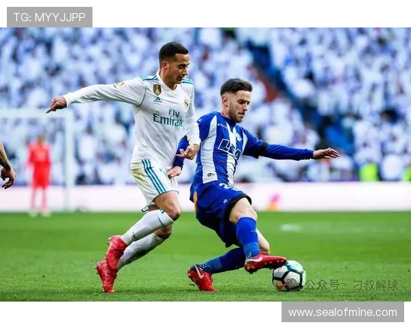 本土球员本赛季表现稳健，竞争力持续提升